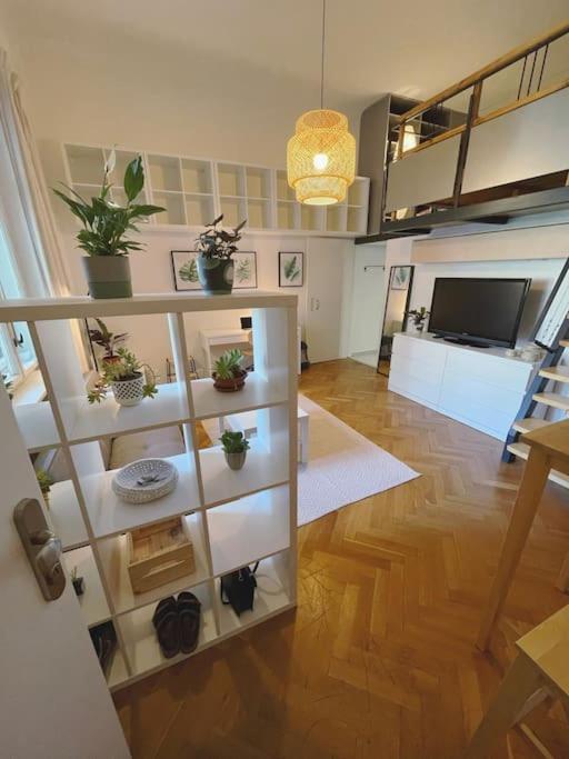 Stefanka Apartment Old Town Bratislava Exterior foto